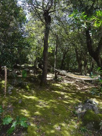 1d80beb8-6c44-4ce4-b3fc-ca2372a08602.1.10